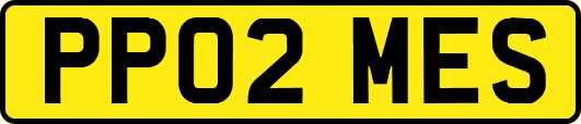 PP02MES