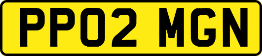 PP02MGN