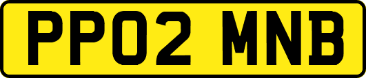 PP02MNB