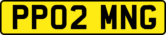 PP02MNG