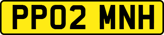 PP02MNH