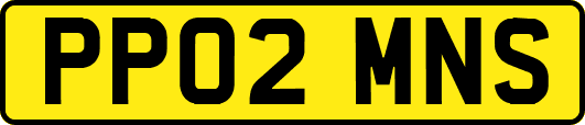 PP02MNS