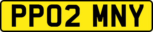 PP02MNY