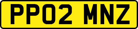 PP02MNZ