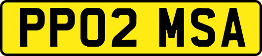 PP02MSA