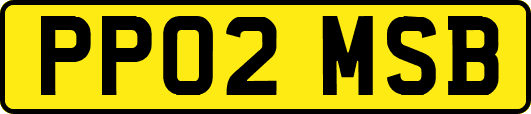 PP02MSB