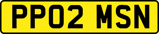 PP02MSN