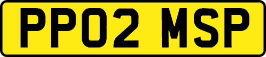 PP02MSP