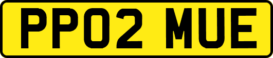 PP02MUE