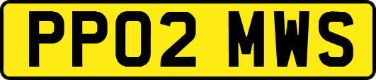 PP02MWS