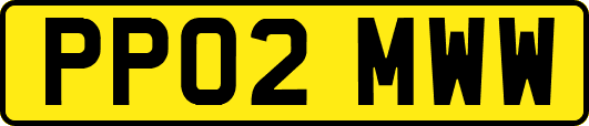 PP02MWW