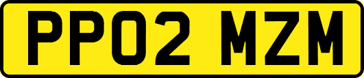 PP02MZM
