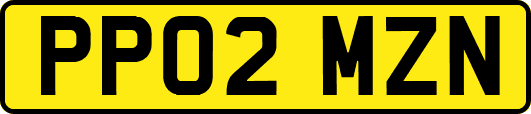 PP02MZN