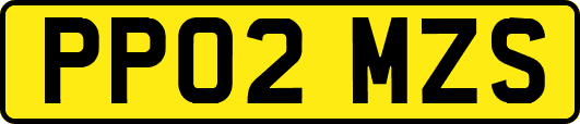 PP02MZS