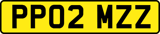 PP02MZZ