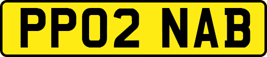 PP02NAB