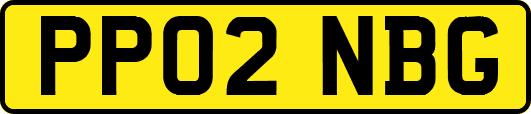 PP02NBG