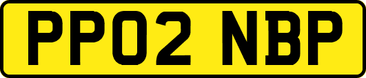 PP02NBP