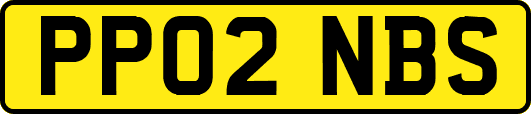PP02NBS