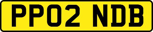 PP02NDB