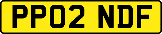 PP02NDF