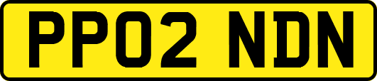 PP02NDN