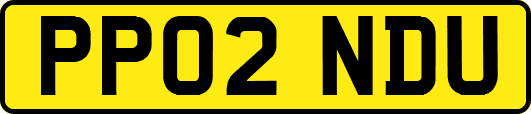 PP02NDU