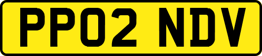 PP02NDV