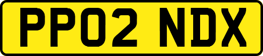 PP02NDX