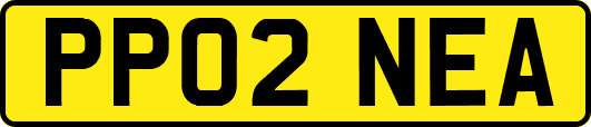 PP02NEA