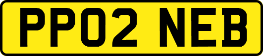 PP02NEB