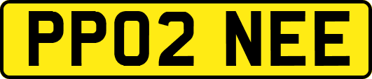 PP02NEE