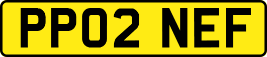 PP02NEF