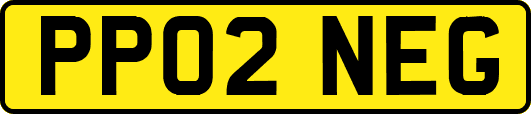 PP02NEG
