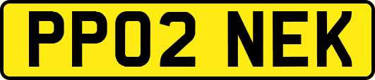 PP02NEK