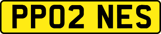 PP02NES