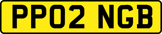 PP02NGB