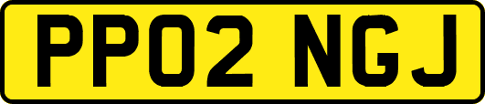 PP02NGJ
