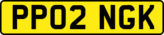 PP02NGK