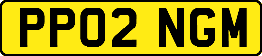 PP02NGM