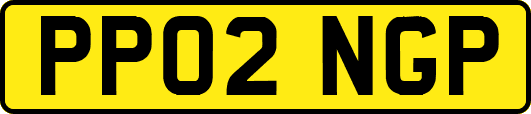PP02NGP