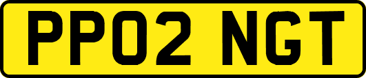 PP02NGT