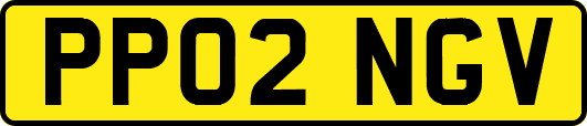 PP02NGV