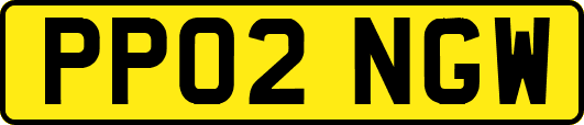 PP02NGW