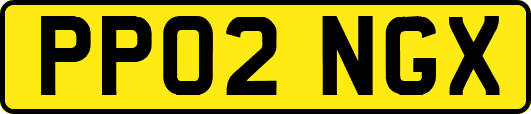 PP02NGX