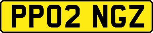 PP02NGZ