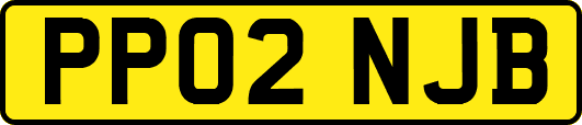 PP02NJB