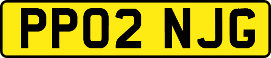 PP02NJG