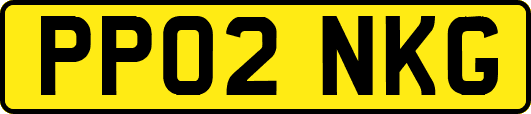 PP02NKG