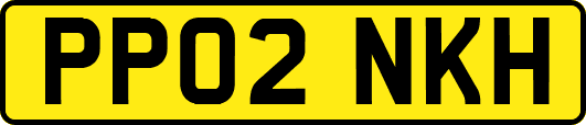 PP02NKH